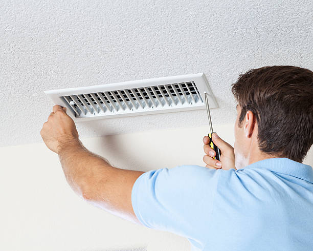 Best Industrial Mold Remediation  in Judson, SC