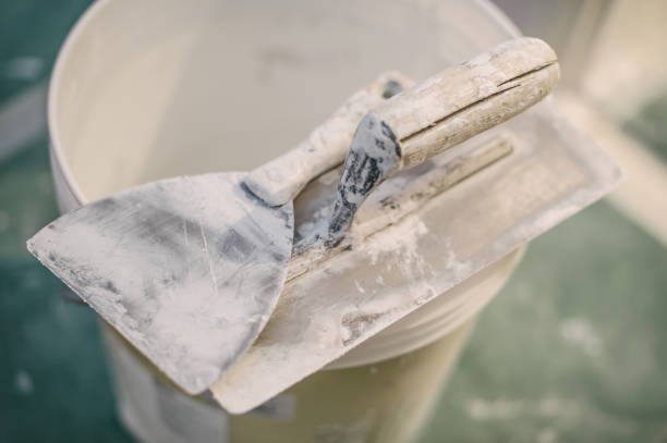 Best Residential Mold Inspection & Testing  in Judson, SC